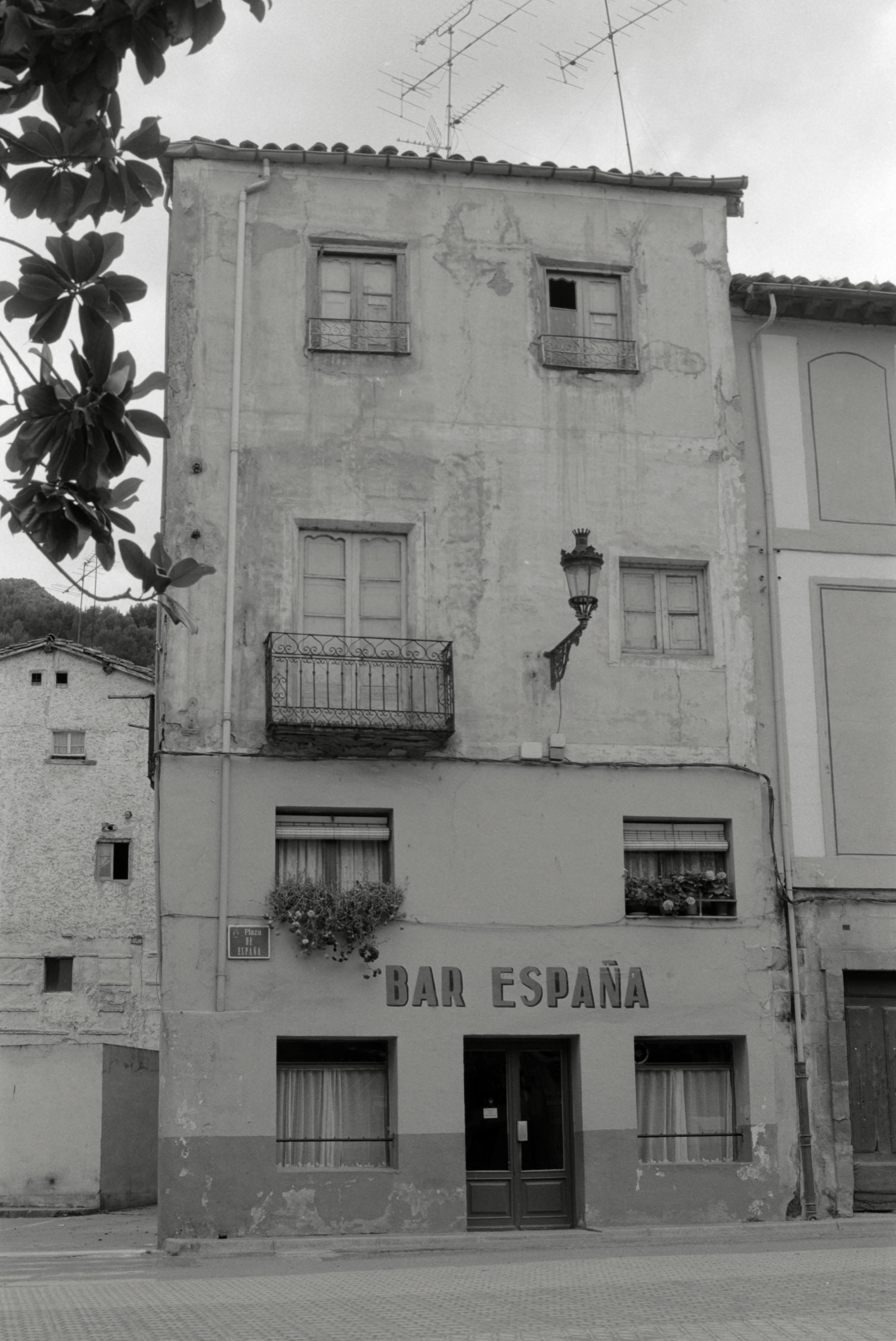 AHP F1995 05 008 sc240826 img13 NLP